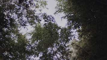 Free download A poem for a friend (친구를 위한 시) - Short Film  [Trailer] video and edit with RedcoolMedia movie maker MovieStudio video editor online and AudioStudio audio editor onlin